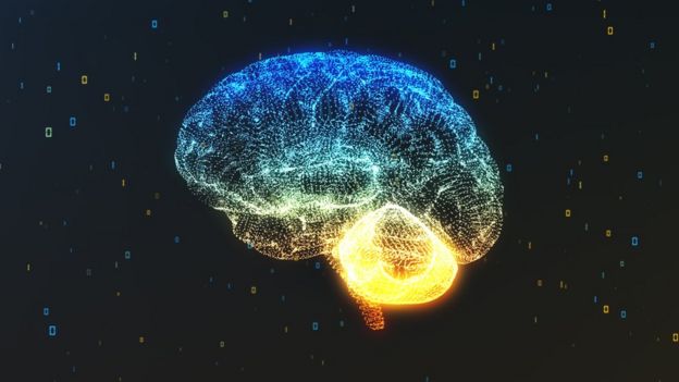 Ilustración del cerebro