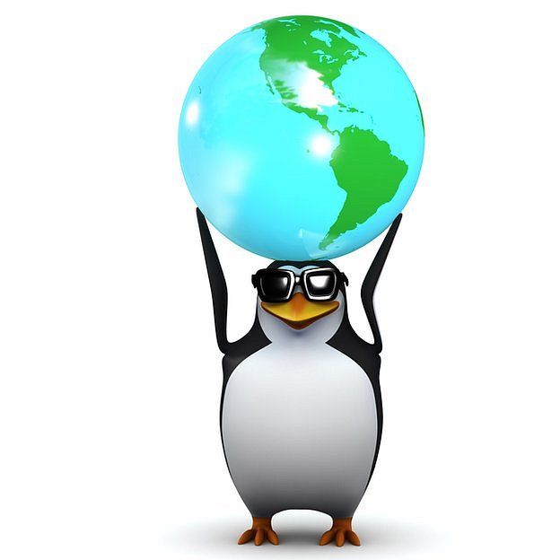 Pingüino con gafas de sol