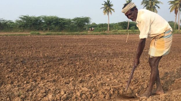 Drought ht farm in Tamil Nadu