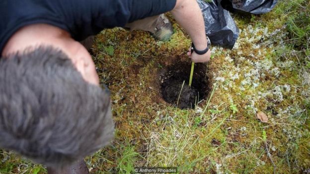 Vladimir Romanovsky coleta os registros de temperatura abaixo do solo da floresta