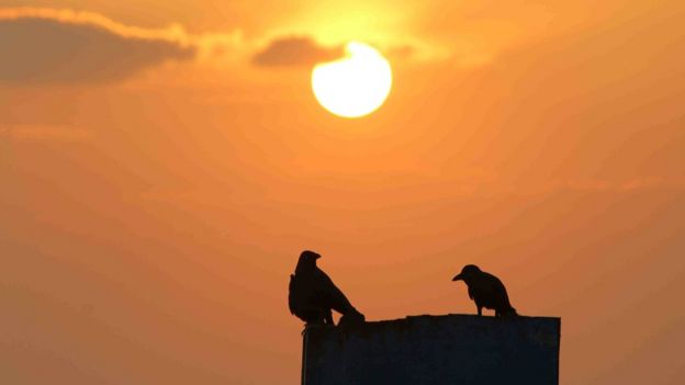 பீமால் அந்தோணி, திருச்சி