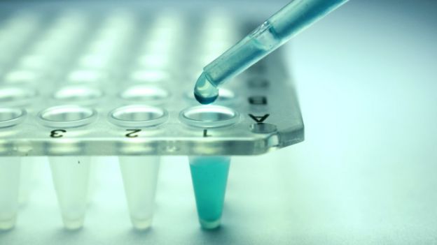Investigación con células madre.
