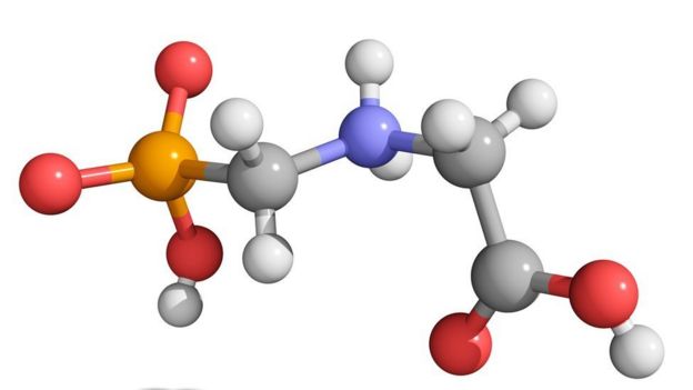 Modelo molecular del herbicida glifosato