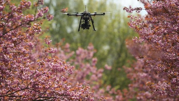 طائرة من دون طيار وسط الحقول