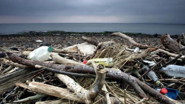 Rubbish washed up on a beach