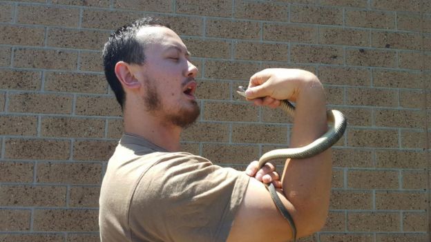 Mark Pelley poses with the tiger snake he removed