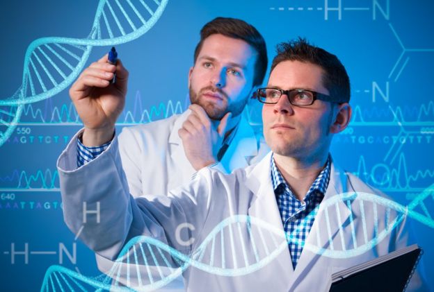 Dos científicos analizando ADN.