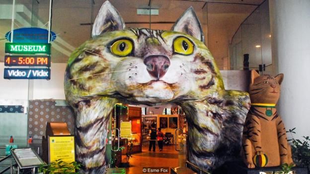 Bảo Tàng Mèo ở phía Bắc Toà Thị Chính Kuching mô tả lịch sử của loài mèo từ 5.000 năm trước cho đến nay.