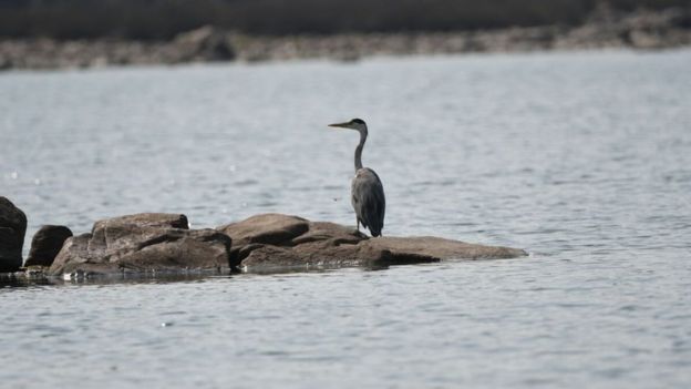 காவிரி பிரச்சனையின் தோற்றுவாய் எது?