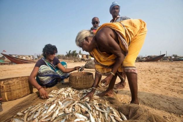 Fishermen and women organising their catch of the day