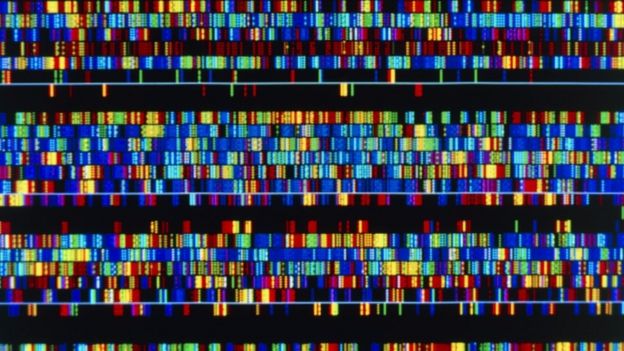 DNA, genetika