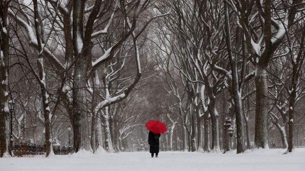 Hombre caminando con un paraguas en un parque