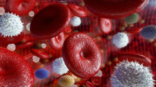 llustração representando células do sangue