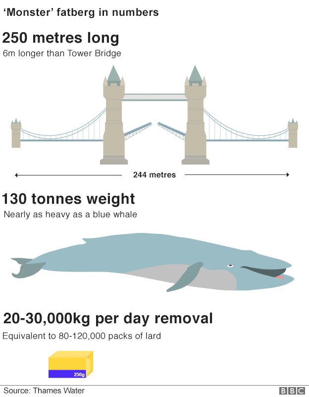 Infographic showing fatberg compared with Tower Bridge and a blue whale