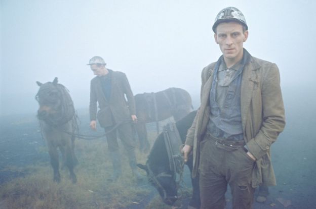 1965年，杜伦的煤矿工人和小马驹
