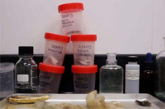 Recipientes con restos humanos en el laboratorio del dr. Hernández