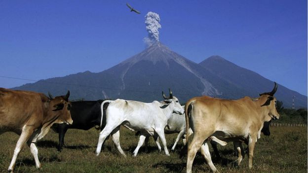 El volcán de Fuego ha registrado 10 erupciones en lo que va de año.