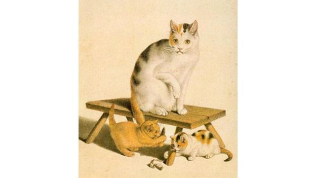 Chats