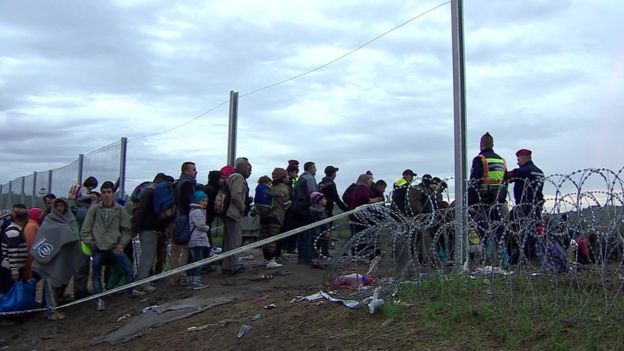 Migrants enter Hungary in October 2016, at the height of the migrant crisis