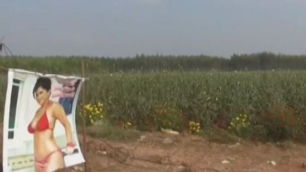 சன்னி லியோன்