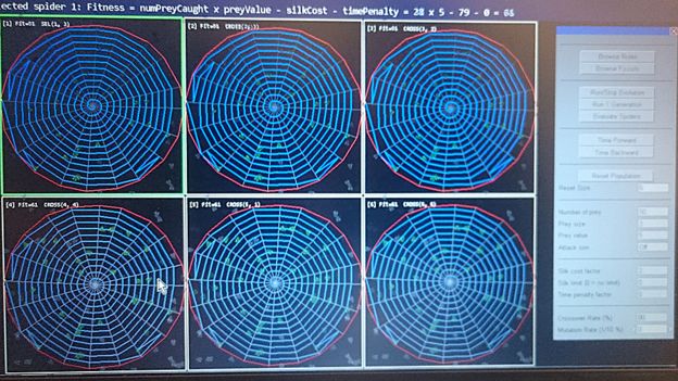சிந்தெடிக் பாலிமரை காட்டிலும் சிறந்த சிலந்தி வலை பட்டுகள்