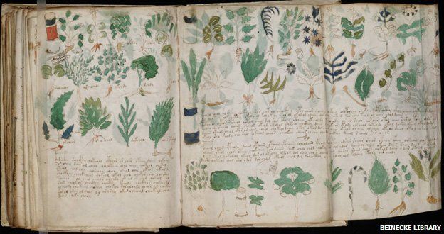 http://ichef-1.bbci.co.uk/news/624/media/images/68289000/jpg/_68289512_new_3voynich_manuscript_(178).jpg