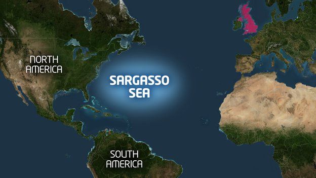 نتيجة بحث الصور عن ‪sargasso sea map‬‏