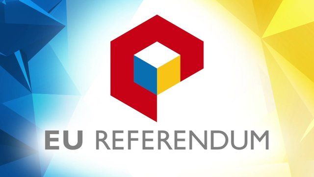 EU referendum logo