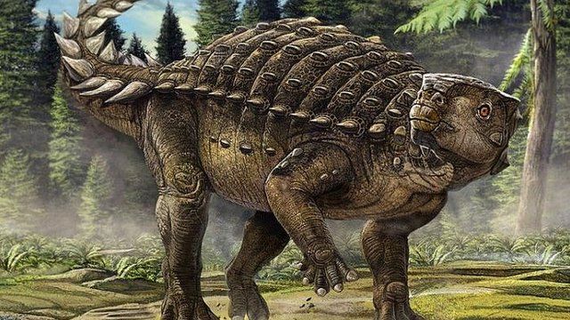 Parrot turtle Dinosaur Called Kunbarrasaurus Discovered In Australia 