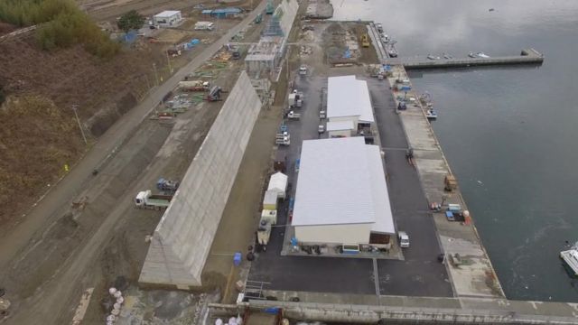 Tsunami sea wall