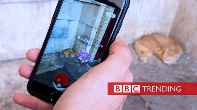 Pokemon Go player and a cat