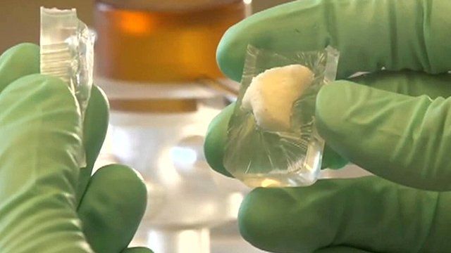 A person holding a bone which has been grown in a bioreactor