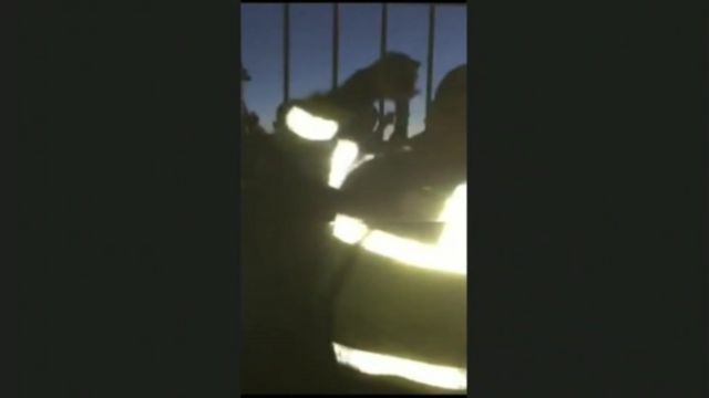 The police officer filmed raising his baton