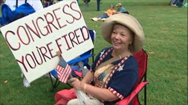 Tea Party supporter