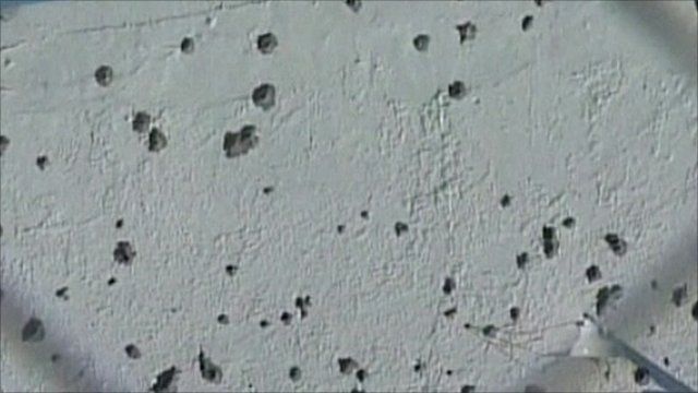 Wall riddled with bullet holes