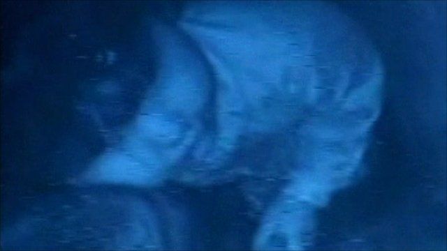 Girl trapped in well