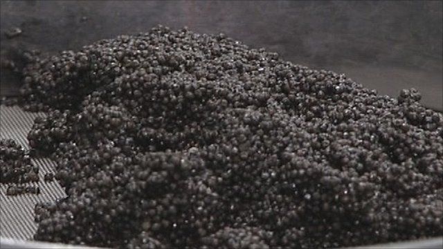Black caviar