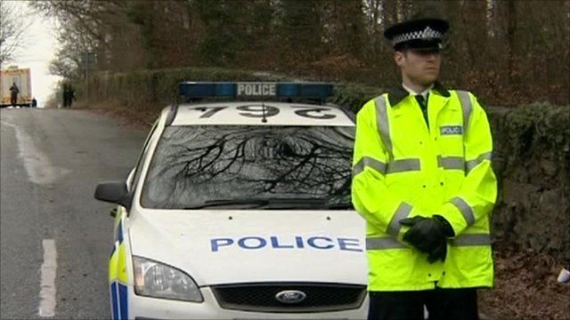 Police officer and patrol car