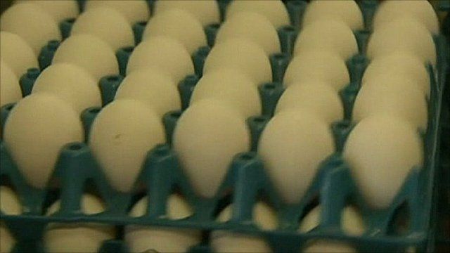 Eggs