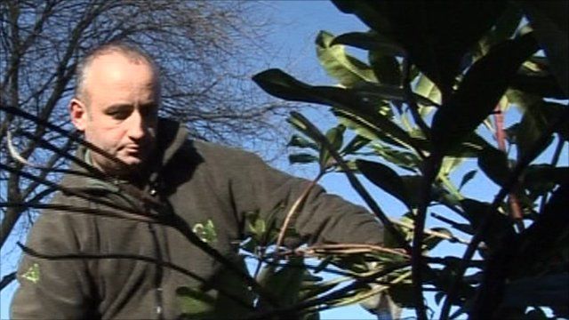Gordon Harper at work in the grounds of Forth Valley Royal Hospital