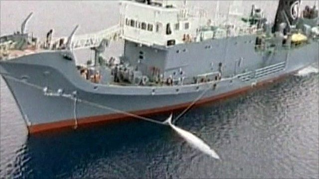 Japanese whaling ship