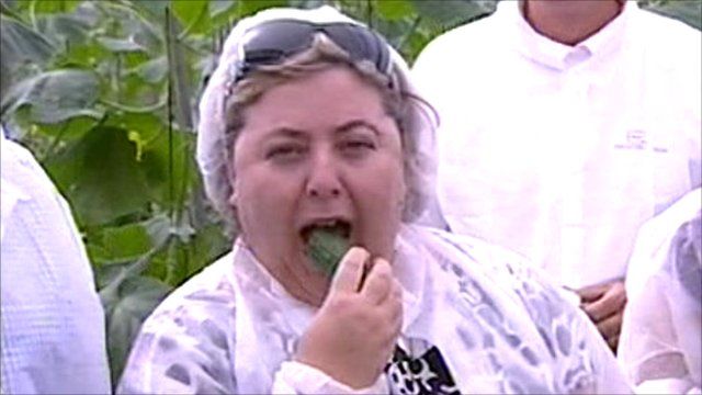Andalucian agriculture minister
