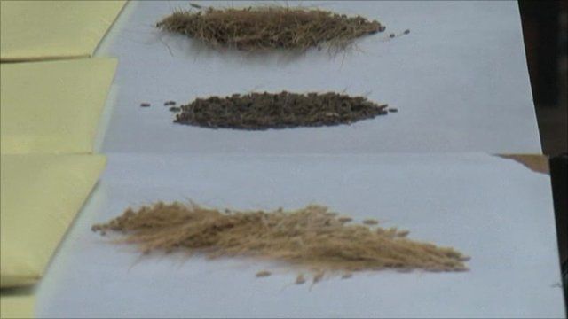 Different types of rice