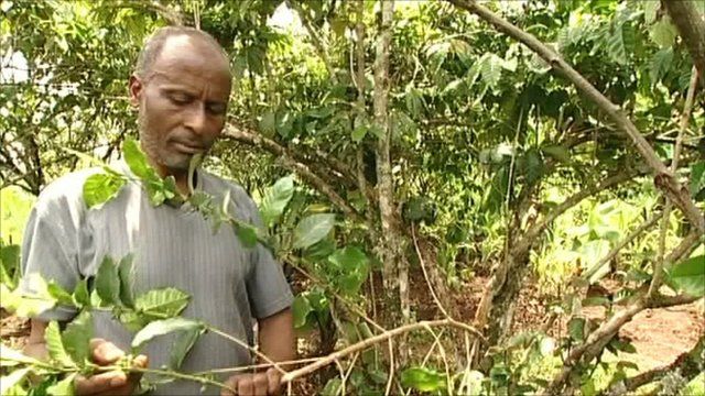 Coffee farmer Feleke Dukamo