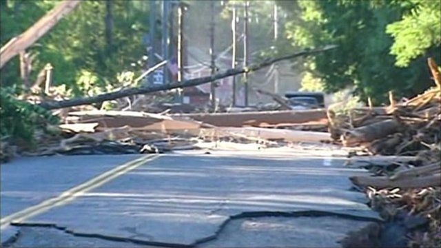 Storm damaged trees and road