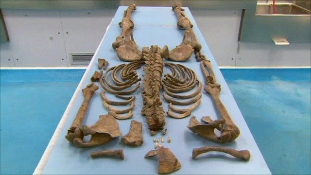 Bones of Ned Kelly