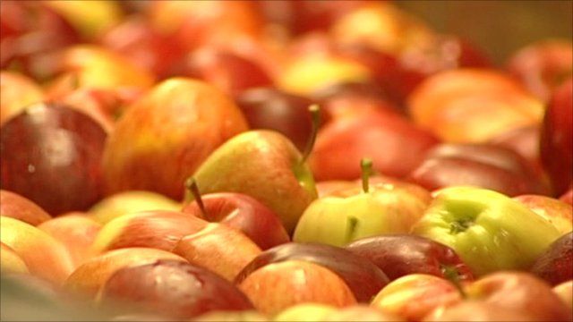 Apples