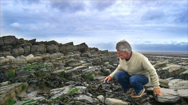 Paul Olsen on foreshore of St Audrie's Bay in Somerset