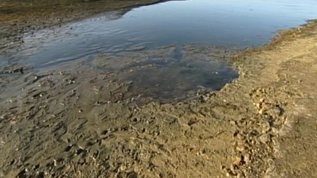 River bed