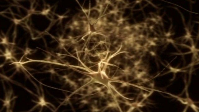 A computer-generated image of a small section of the central nervous system